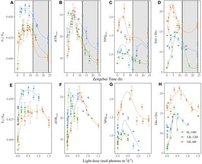 Photoperiodic dependent regulation of photosynthesis in the polar diatom Fragilariopsis cylindrus